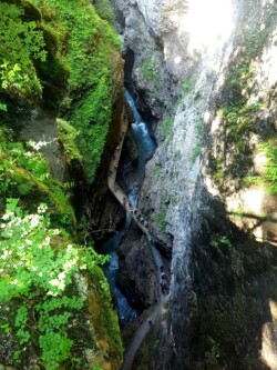 Schlucht Breitachklamm15